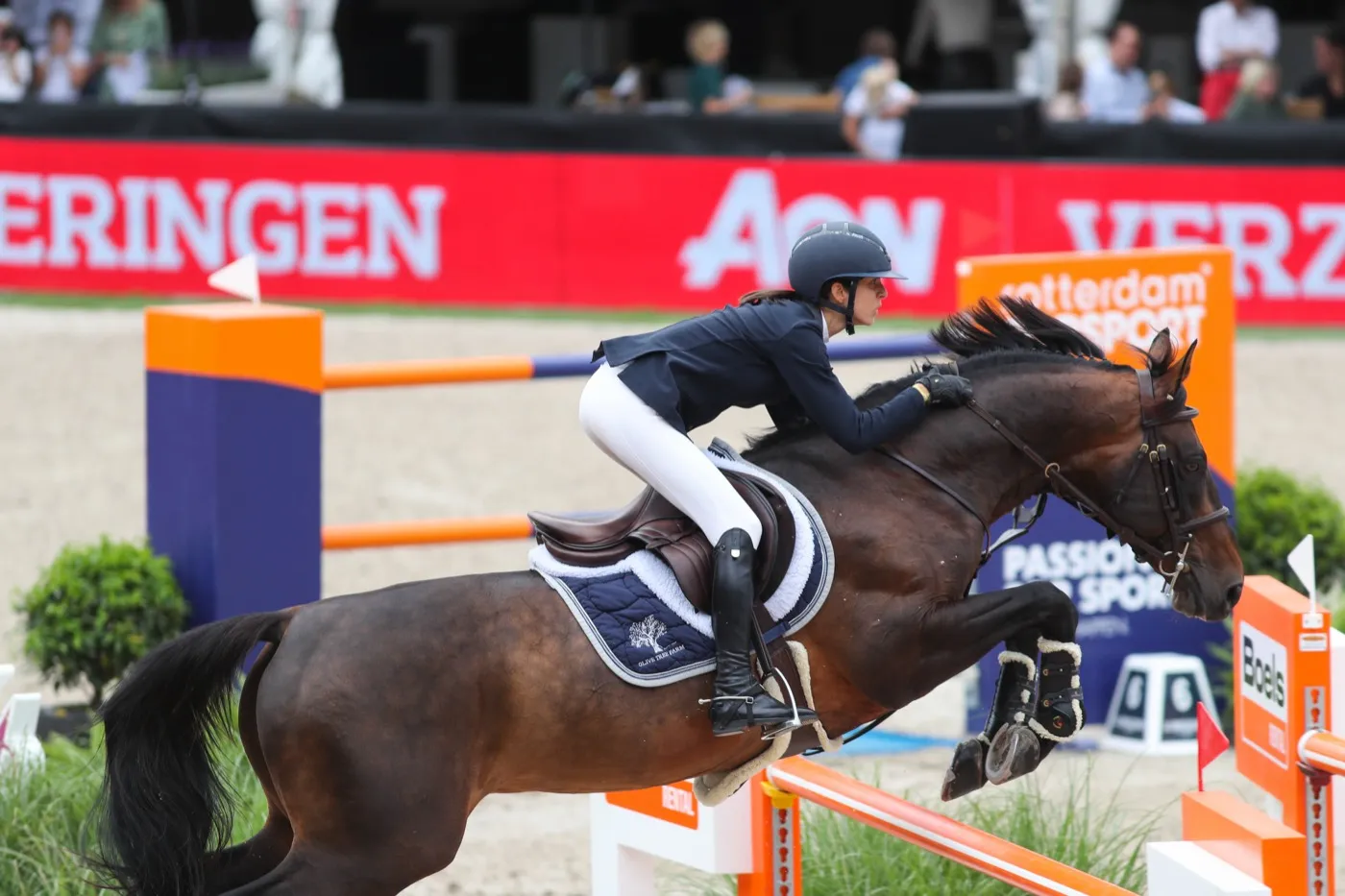 Rotterdam — Ioli mid-air