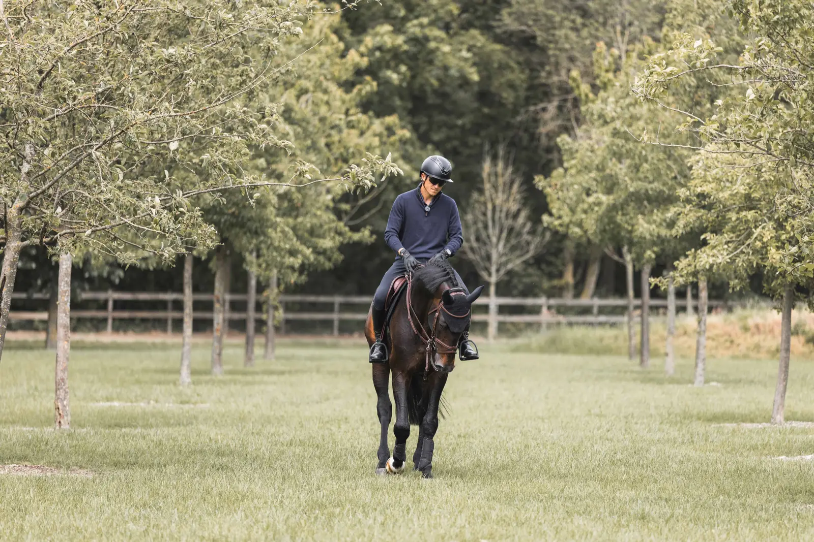 Sean Crooks, show jumping coach, riding a young horse between the trees at his home yard